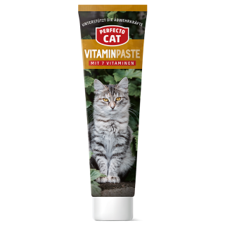 Perfecto Cat Vitaminpaste 100g